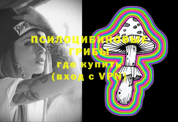 MDMA Инта