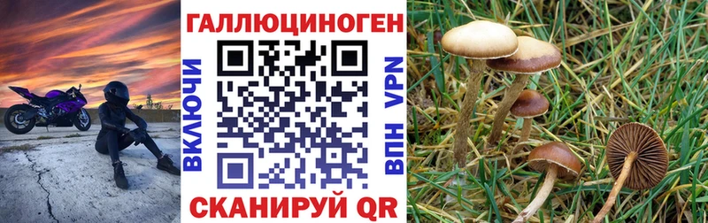 Псилоцибиновые грибы Magic Shrooms  Купить  Каргополь 